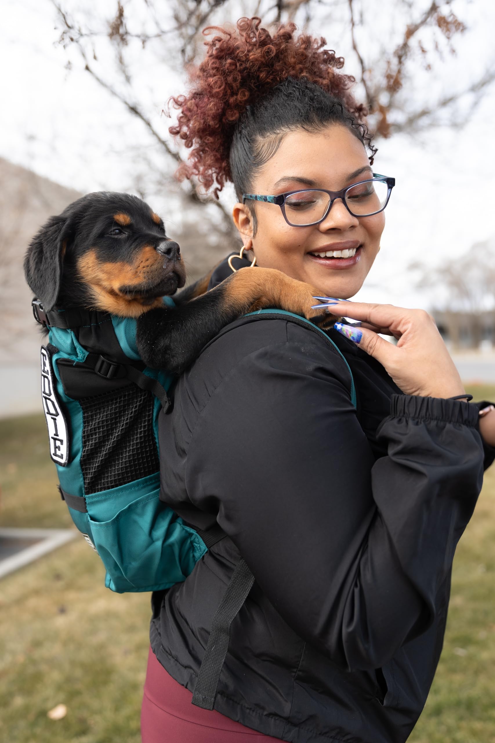 K9 Sport Sack Trainer harbor-blue shows safety features for peace of mind.