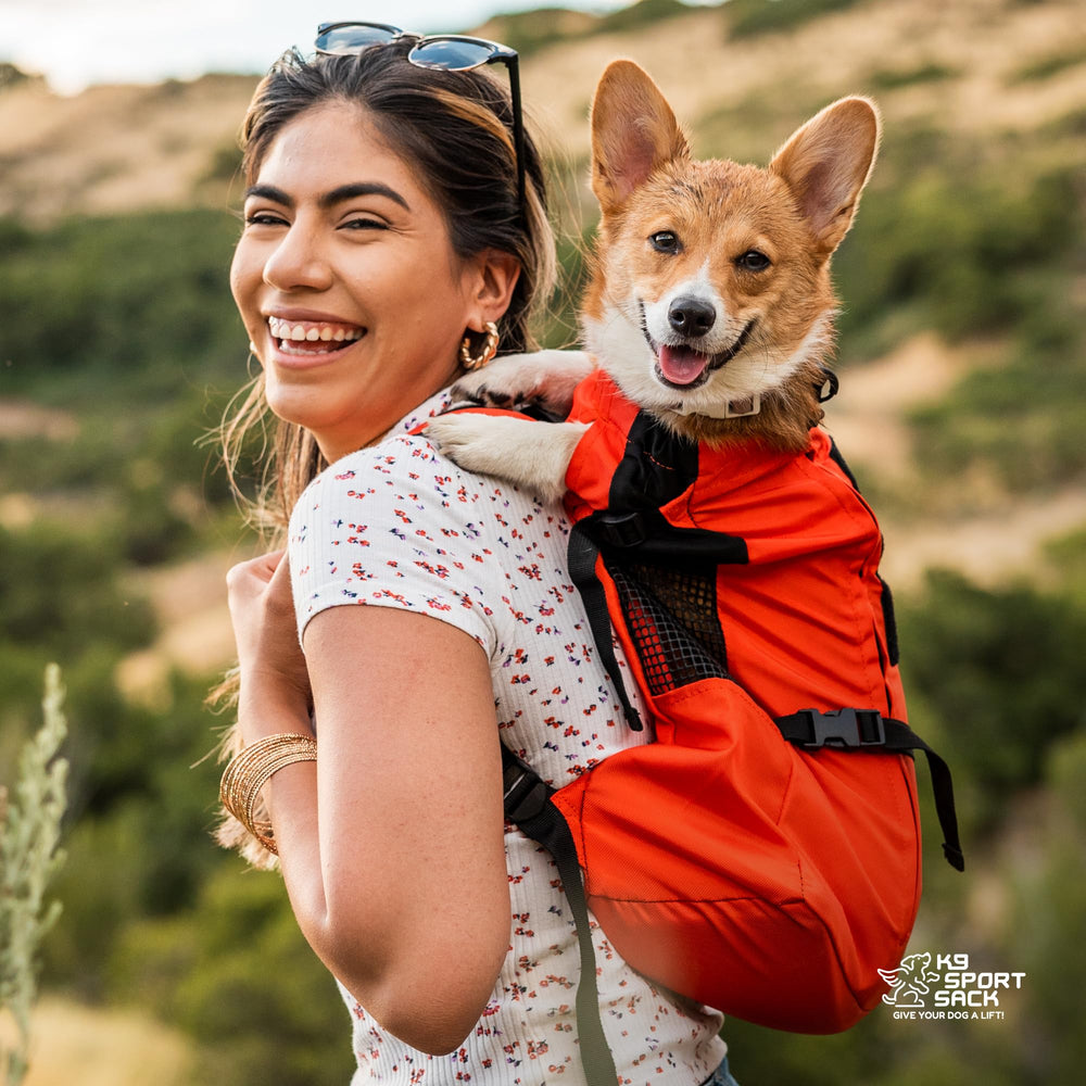 K9 Sport Sack Trainer Harbor Blue secure-closure ensures safety during casual dog walks.