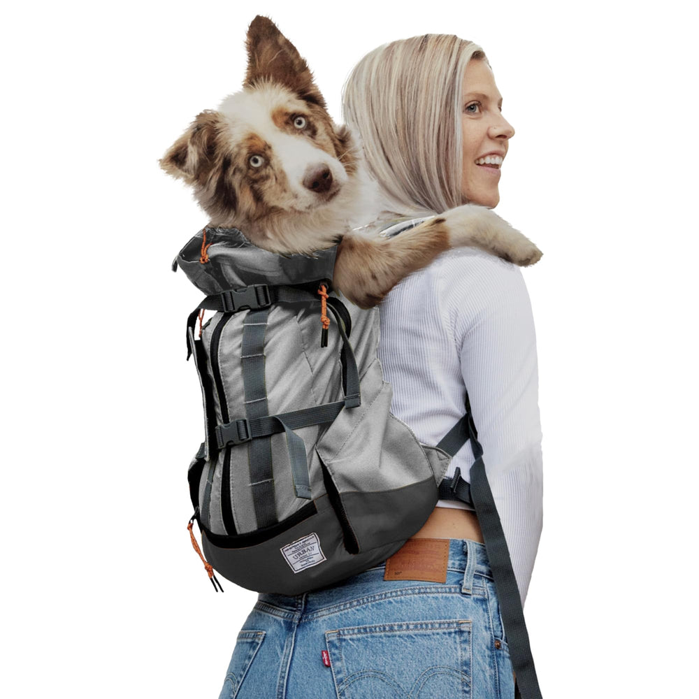 K9 Sport Sack Urban 3 large concrete in use with dog for city commuting