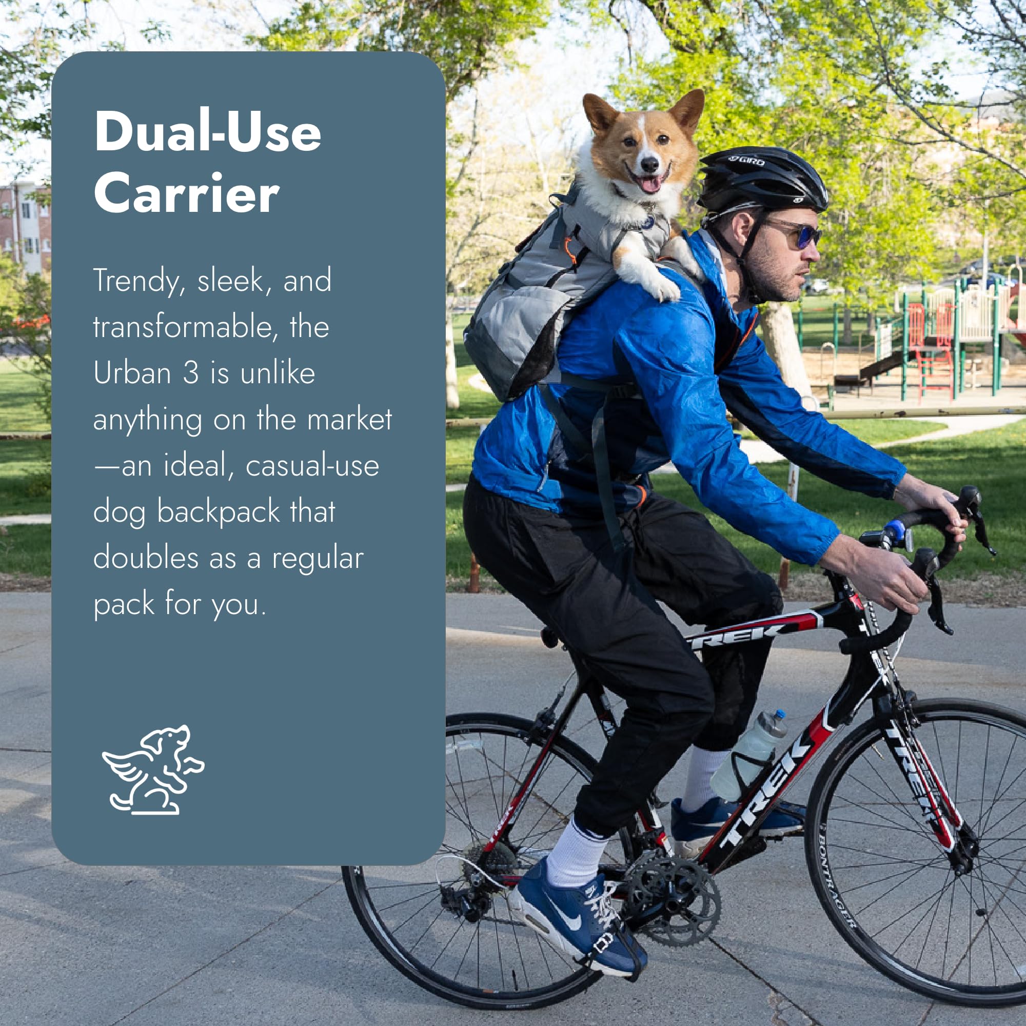 K9 Sport Sack Urban 3 medium concrete in carrier mode offering secure, ventilated support.