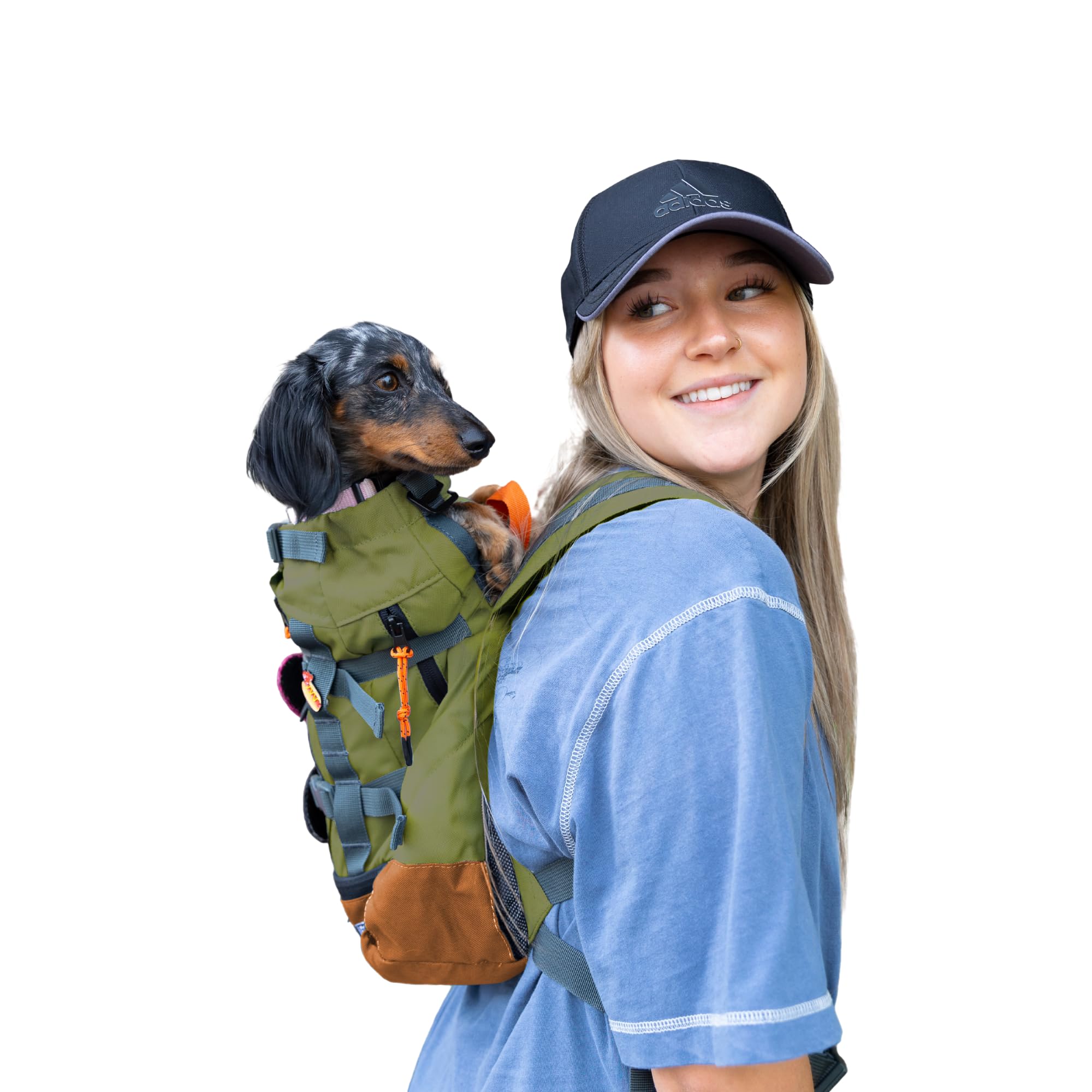 K9 Sport Sack Urban 3 small leafy back view for comfortable city adventures with your dog
