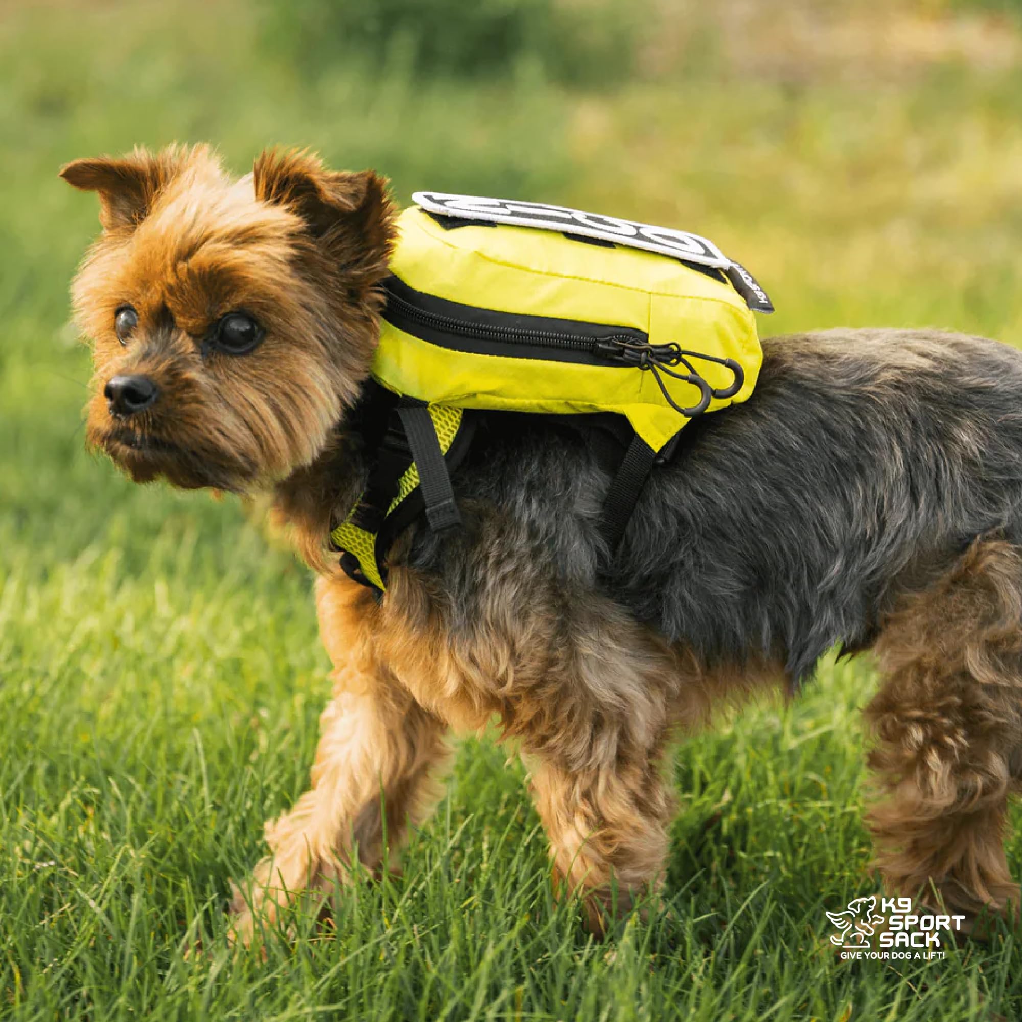 K9 Sport Sack Walk-On size range supports multiple breeds and fits