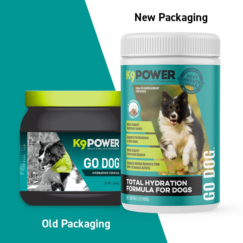 K9Power Go Dog bottle label closeup highlights electrolyte balance and energy ingredients.