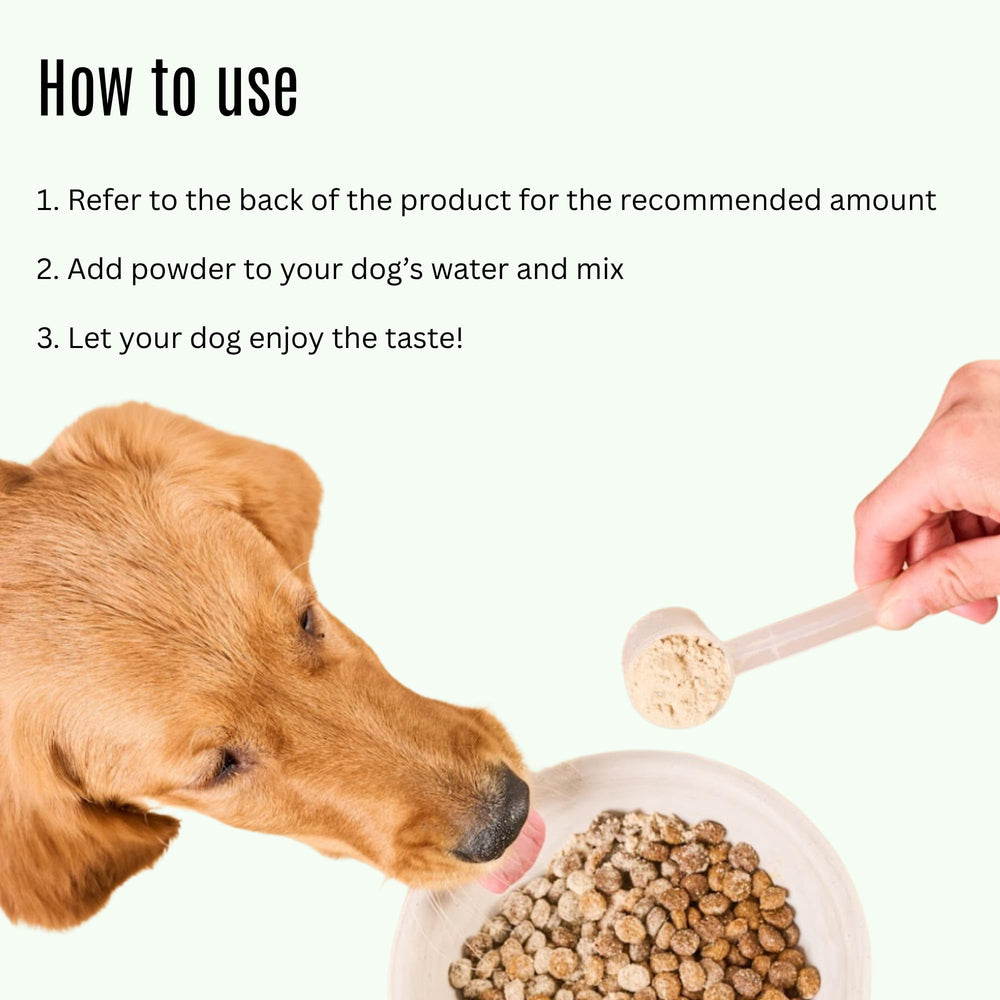 K9Power Go Dog ingredient panel closeup highlighting beta-alanine, creatine and BCAAs.