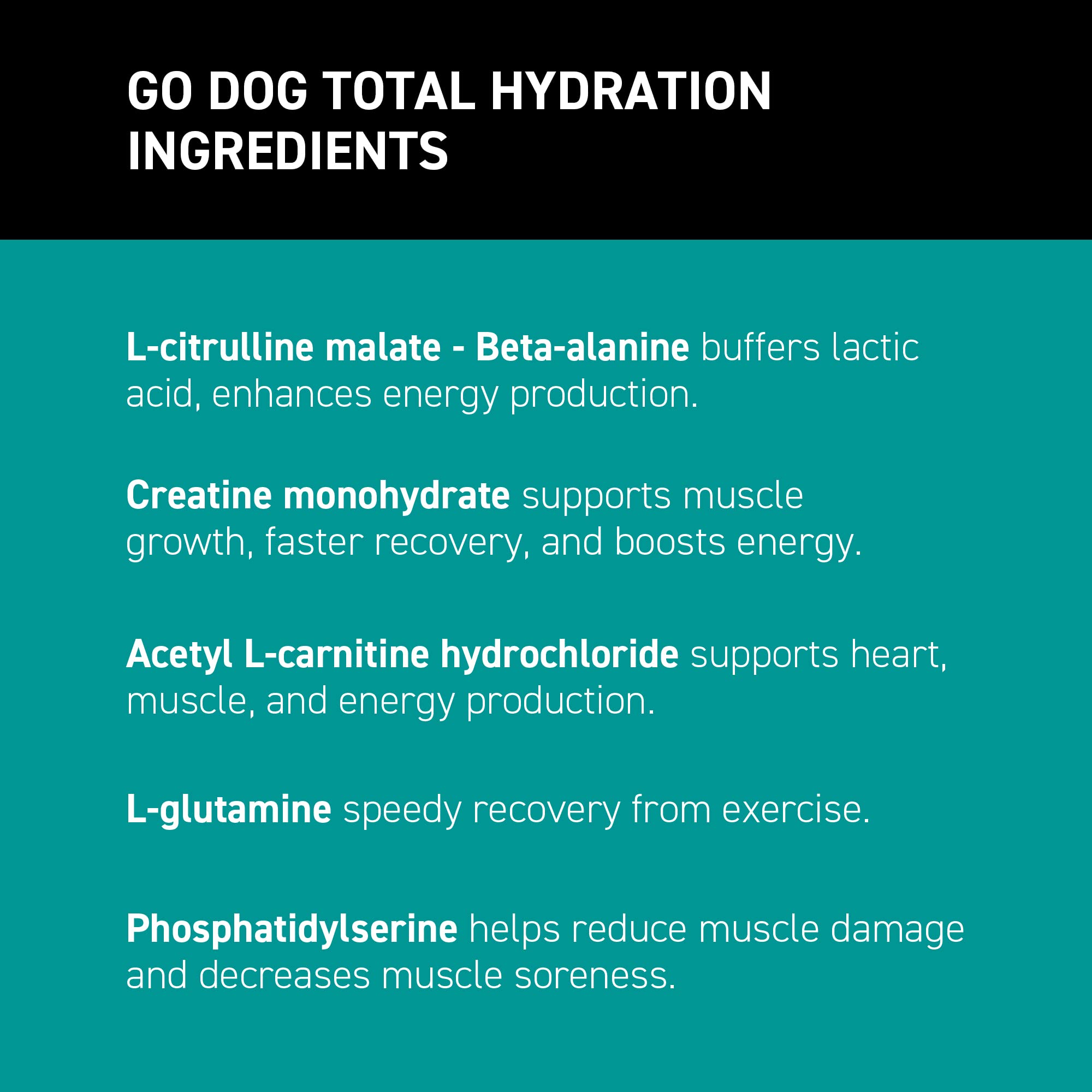 K9Power Go Dog powder being stirred in water demonstrates quick hydration mix.