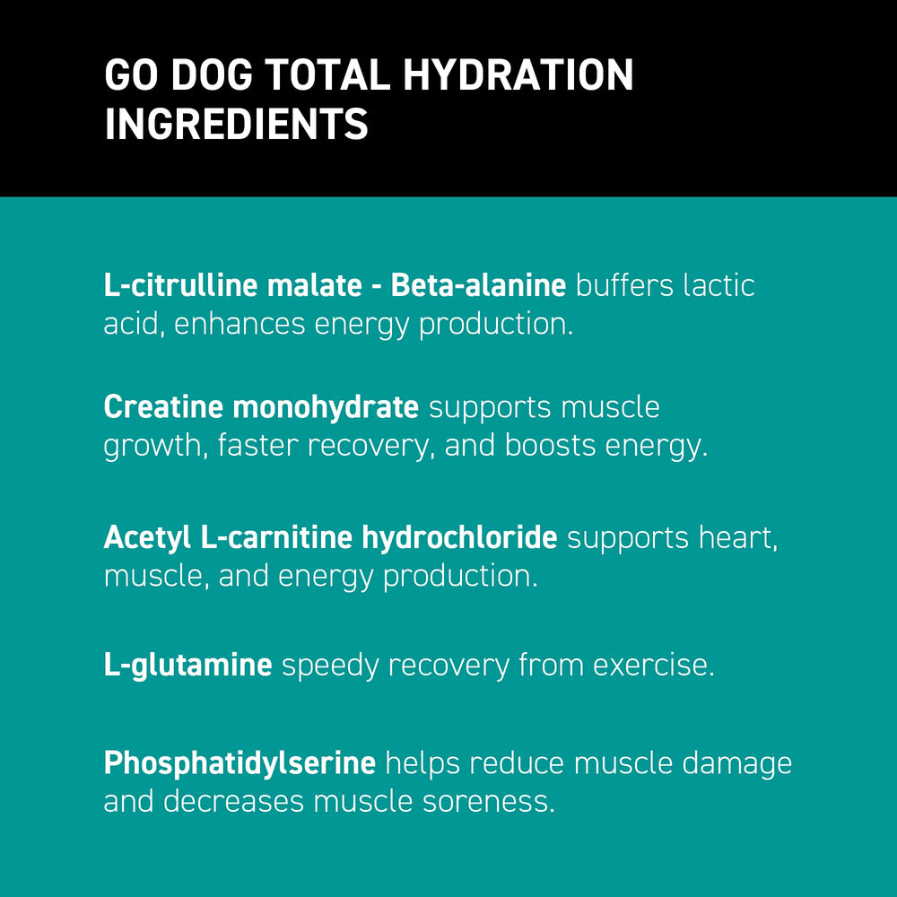 K9Power Go Dog powder being stirred in water demonstrates quick hydration mix.