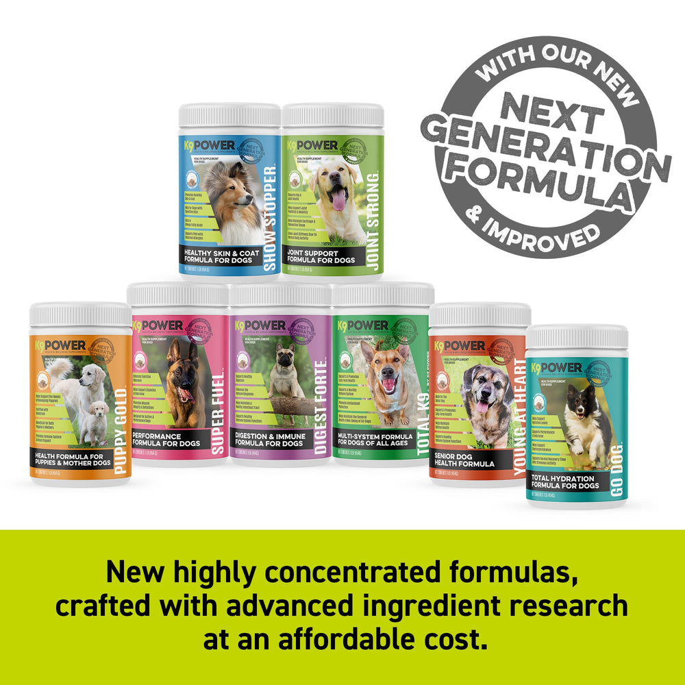 K9Power Go Dog post-run recovery illustration shows replenished nutrients and reduced soreness.