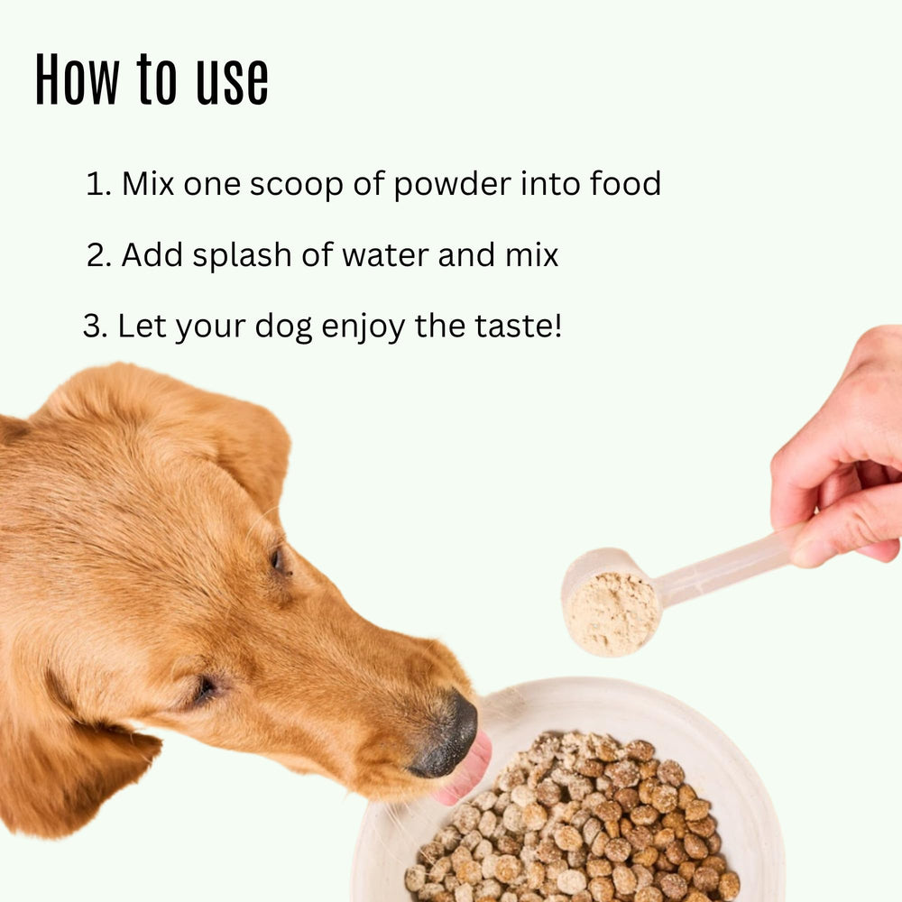 K9 Power Show Stopper oil pour captures liquid salmon oil for shiny coat and balanced skin.