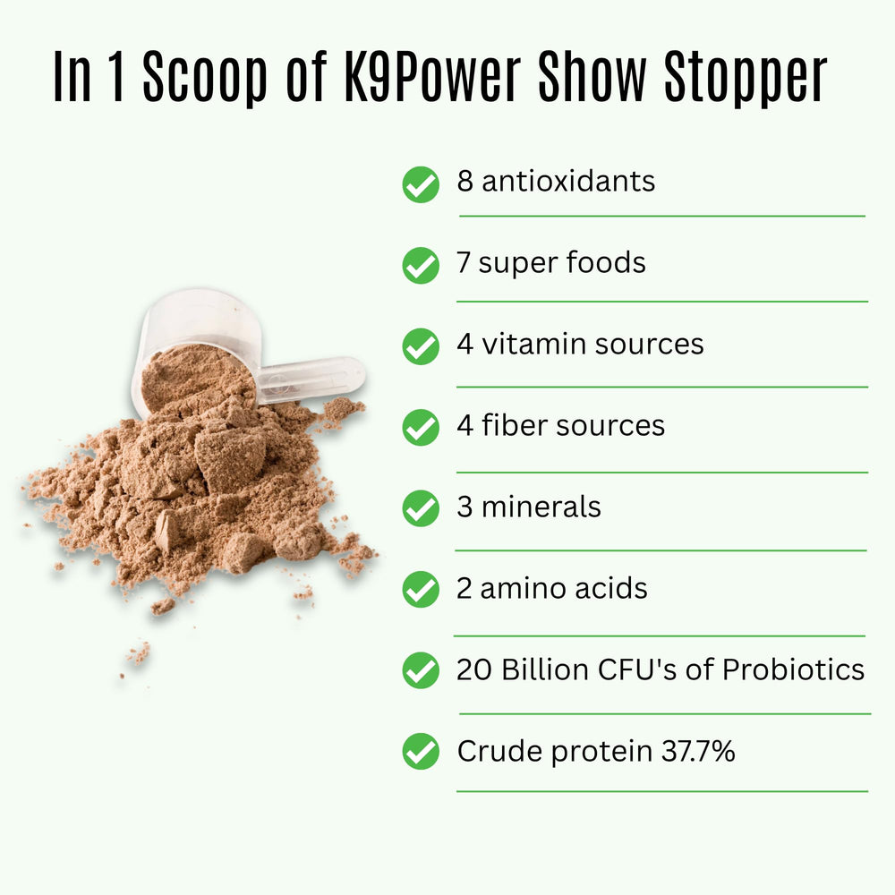 K9 Power Show Stopper scoop-dog-powder demonstrates easy daily dosing for busy pet owners.