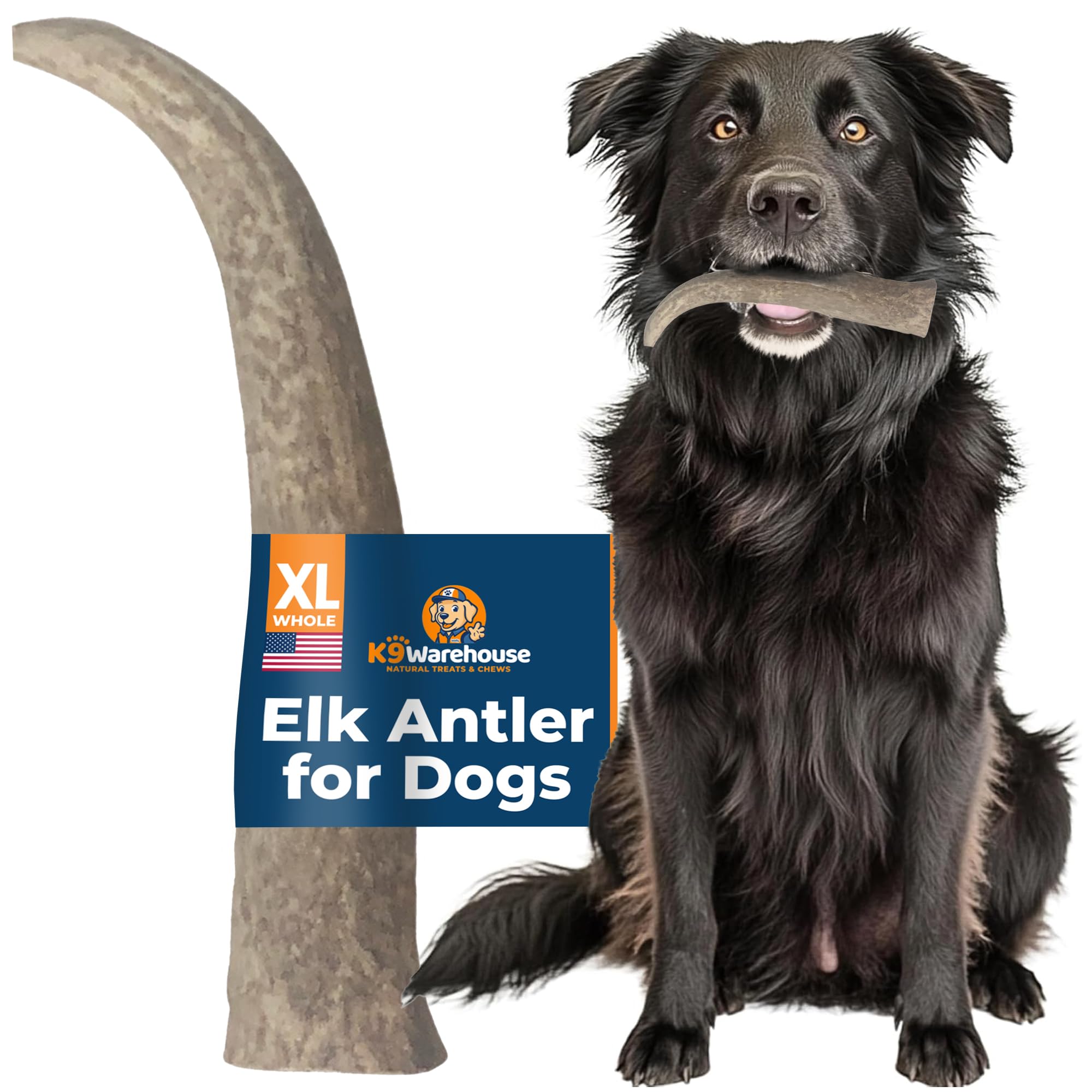 K9warehouse elk antler bone health support closeup suggests dental benefits along with minerals.