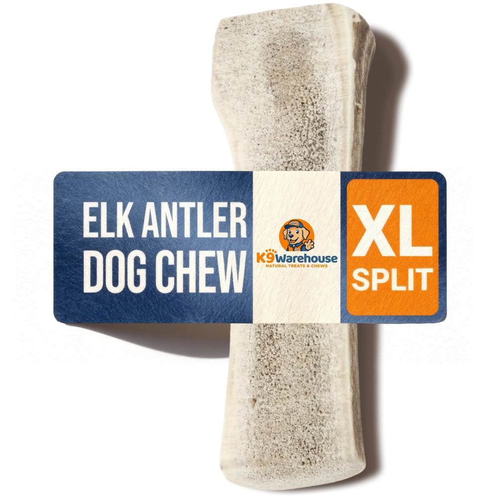 K9warehouse elk-antler-whole-chew provides long-lasting entertainment for medium and large dogs.