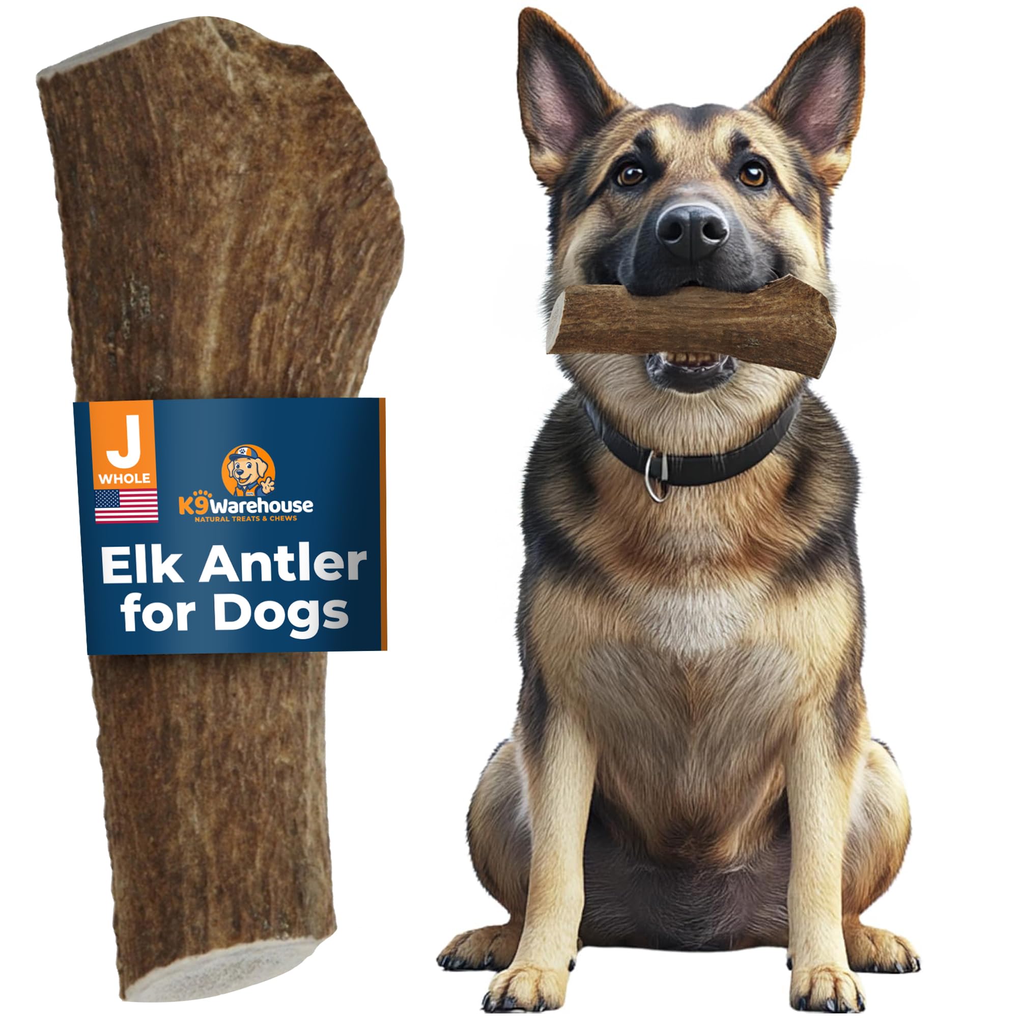 K9warehouse elk antlers care safety image depicts proper storage and supervision