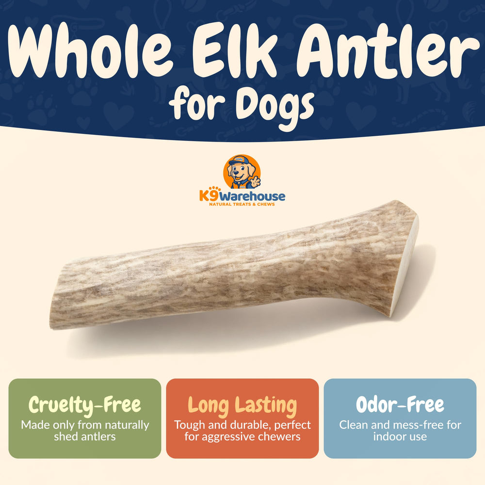 K9warehouse elk antlers dental health image illustrates natural plaque reduction potential