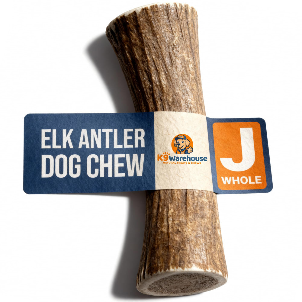K9warehouse elk antlers entertainment image shows long-lasting chew for strong chewers