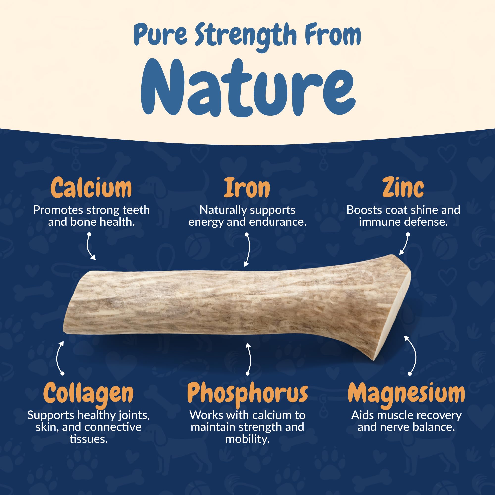 K9warehouse elk antlers perfect size image demonstrates fit for medium and large dogs