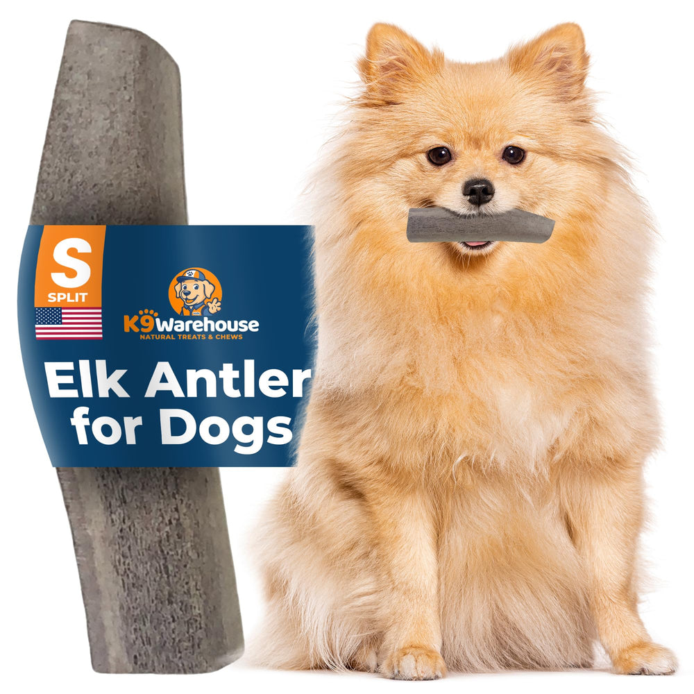 K9warehouse elk-antlers-usa-sourced quality with traceable origin