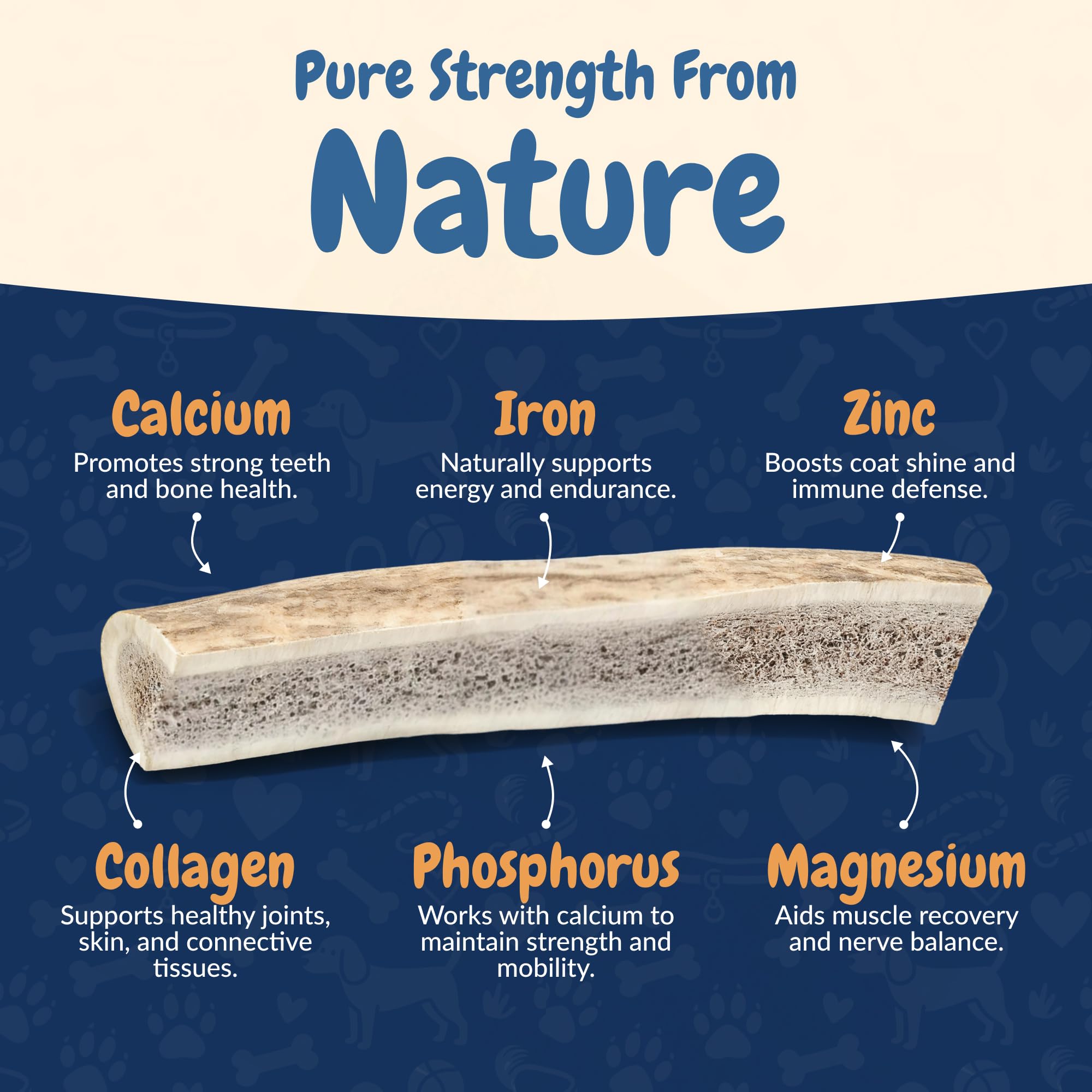 K9warehouse large-dog elk antler chew demonstrates size suitable for bigger breeds.