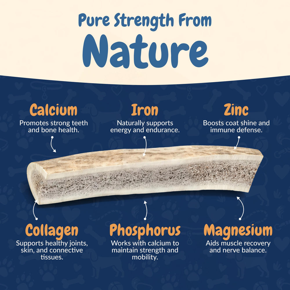K9warehouse large-dog elk antler chew demonstrates size suitable for bigger breeds.