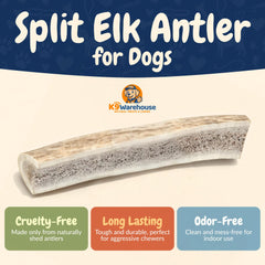 K9warehouse natural split elk antler closeup highlights tough texture for aggressive chewers.