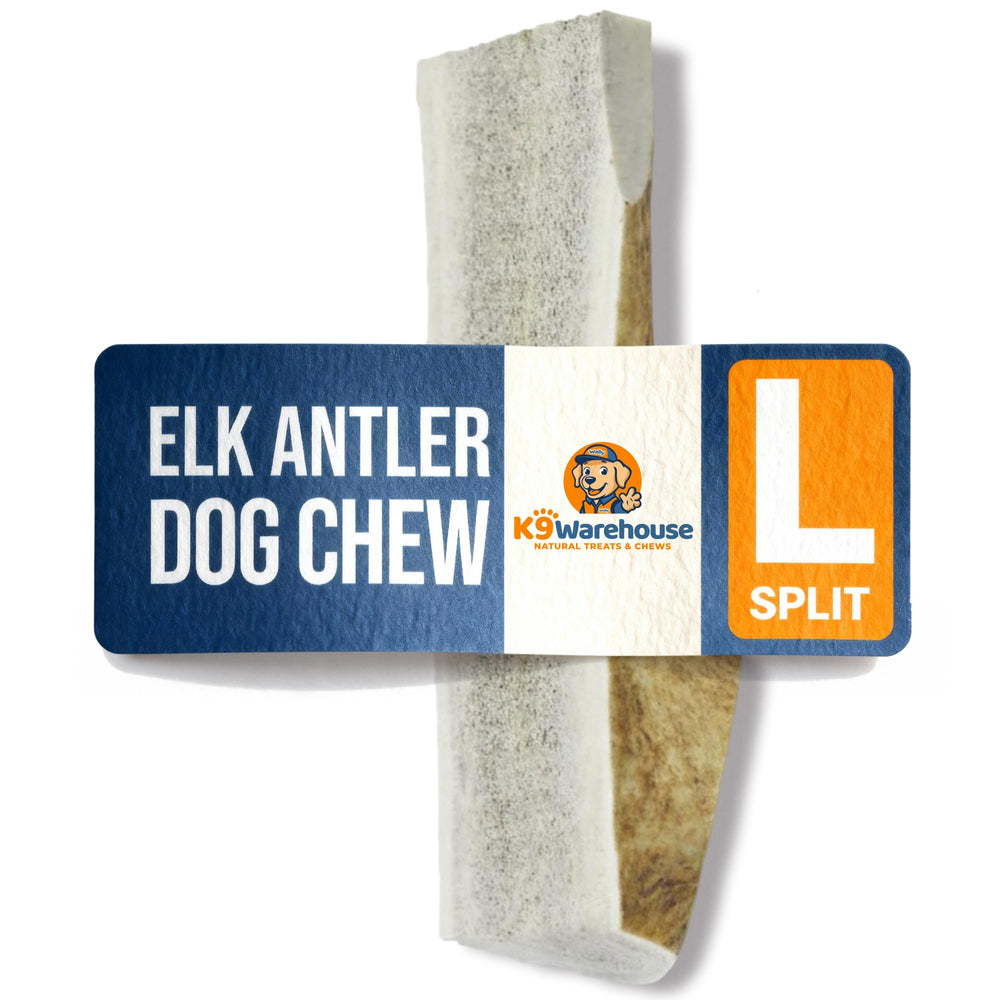 K9warehouse natural split elk antlers close-up with dense texture for long-lasting chewing