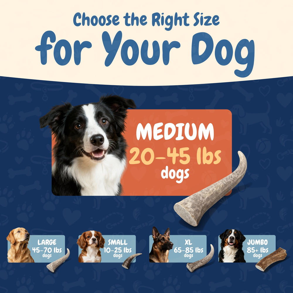 K9warehouse safety natural dog chew image communicates a chemical-free natural option.