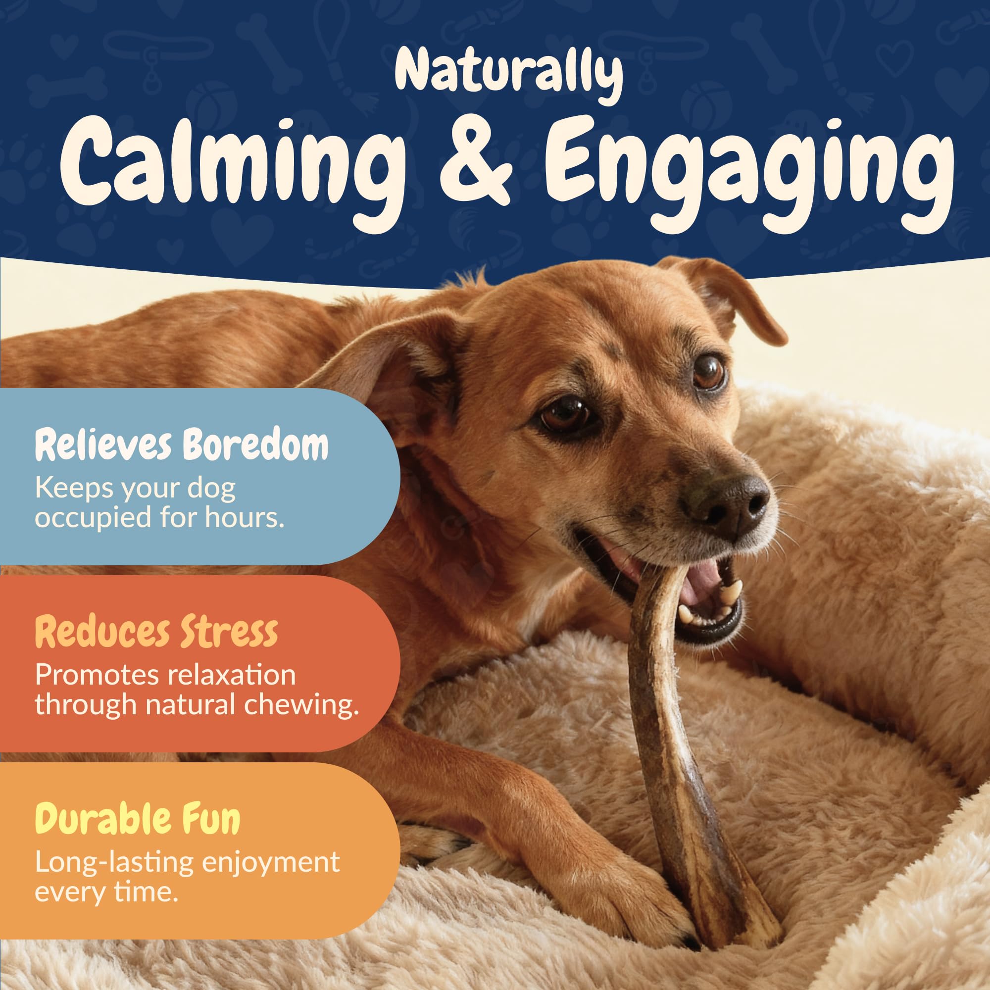 K9warehouse usa-sourced-chew-pack demonstrates safe, natural chew sourced in the USA.