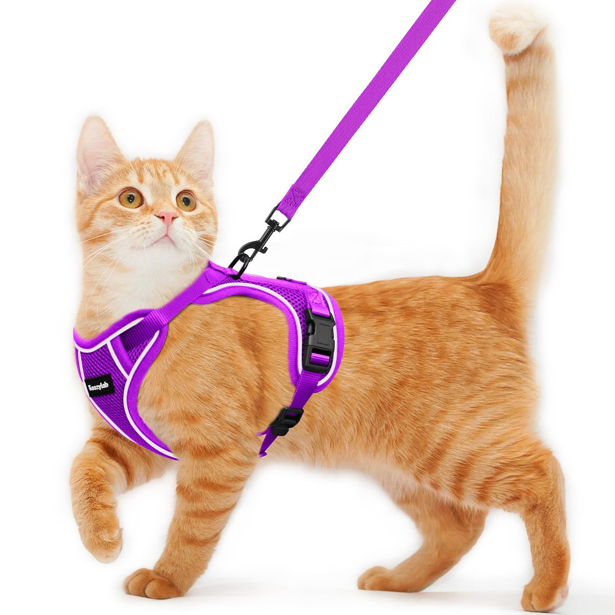 Kaazylab arnés para gato evita escapar durante paseos.