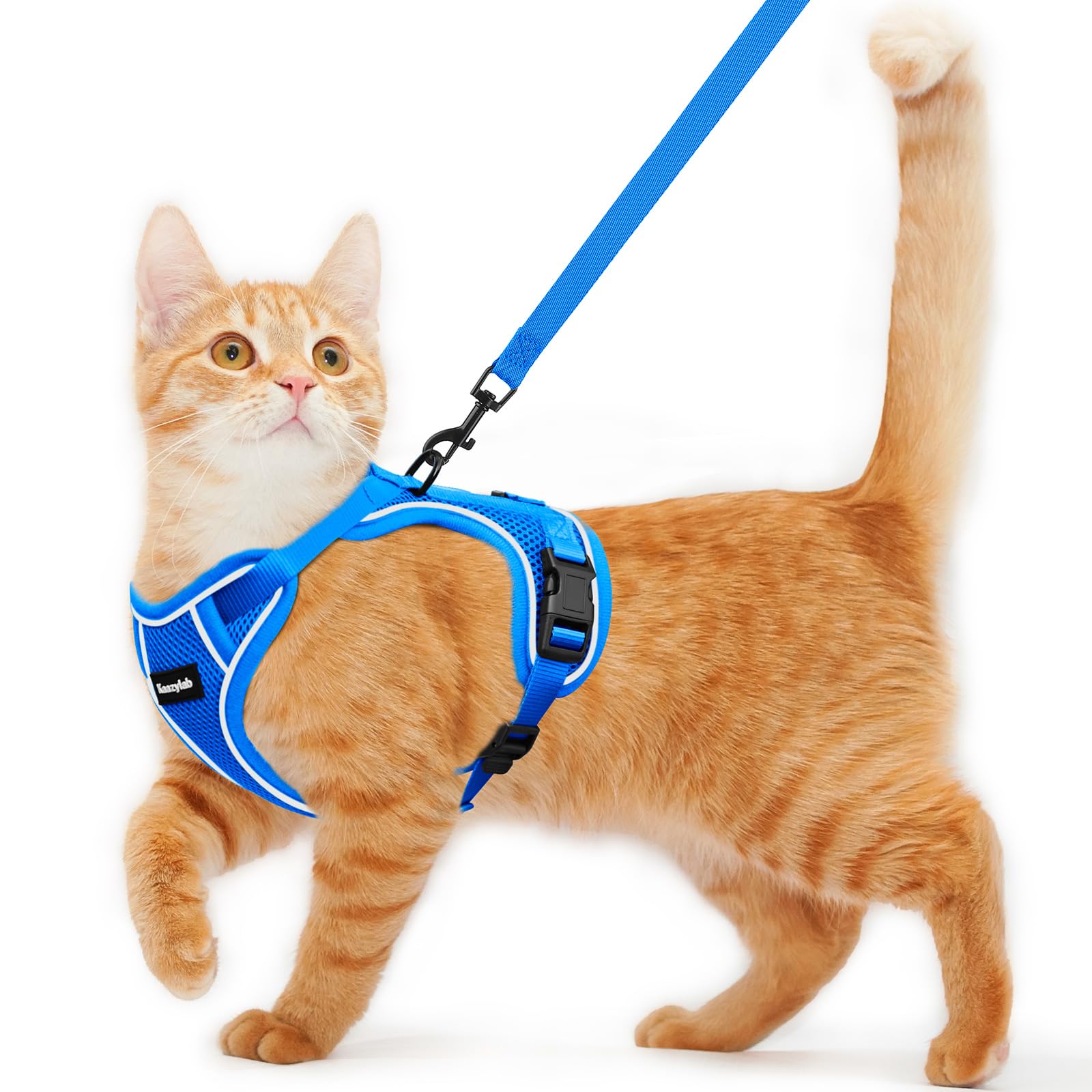 Arnés Kaazylab para gato con sistema anti-escape de doble capa, seguro en caminatas.