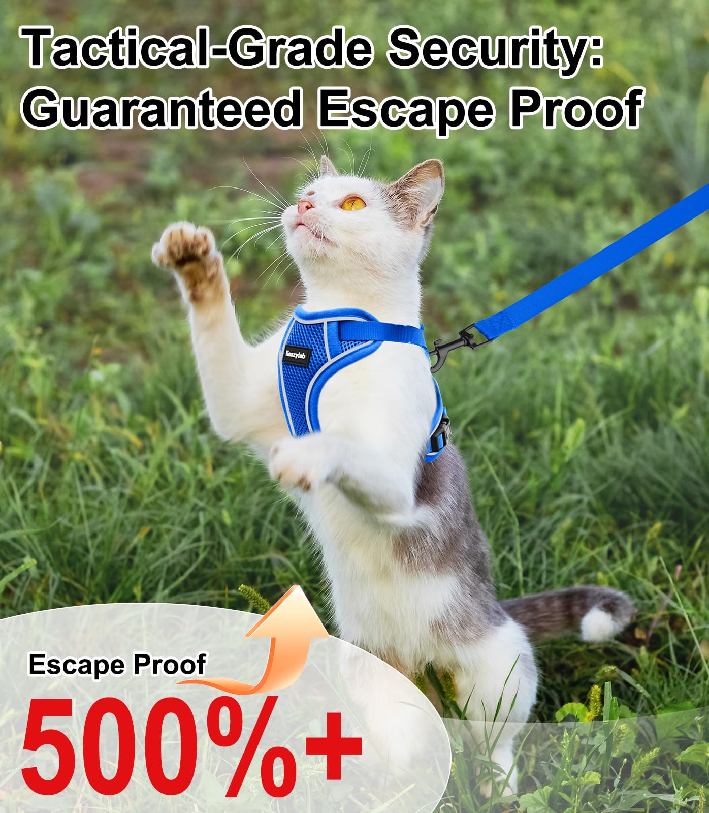 Arnés Kaazylab para gato con tallas ajustables XS-S-M, ajuste personalizado.