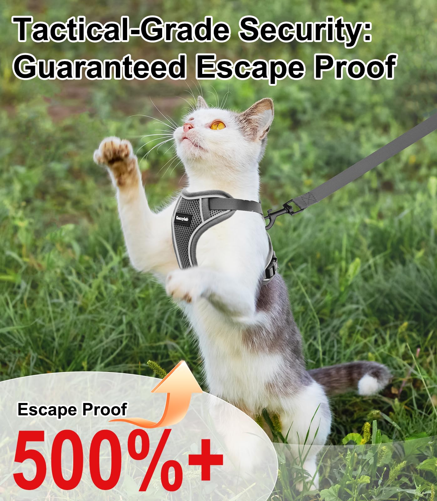 Kaazylab cat-harness adjustable-fit demonstrates versatility for cats of different sizes.