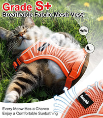 Kaazylab cat harness breathable air mesh keeps pets cool on walks.