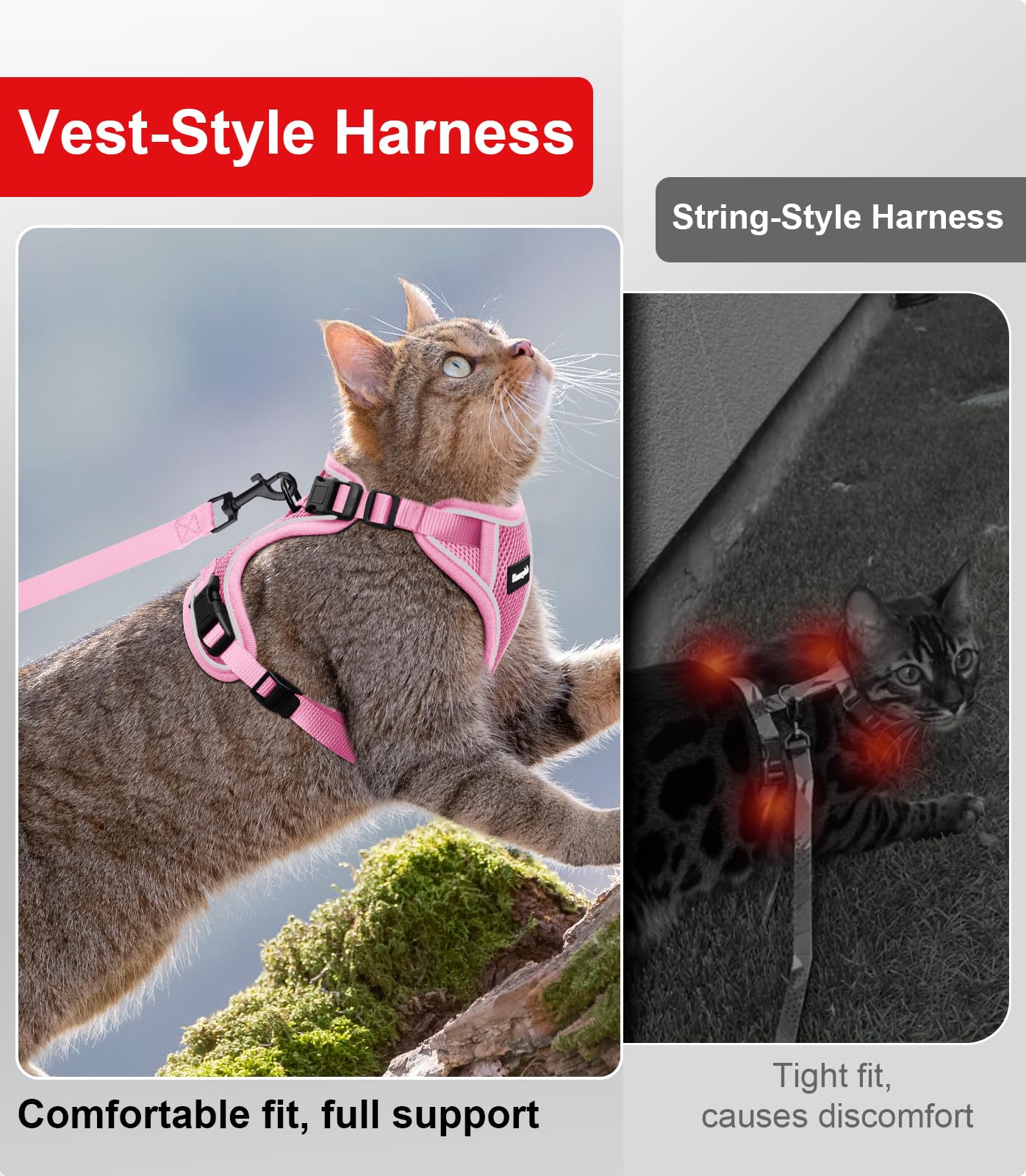 Kaazylab cat harness made with durable materials for long-lasting outdoor use.