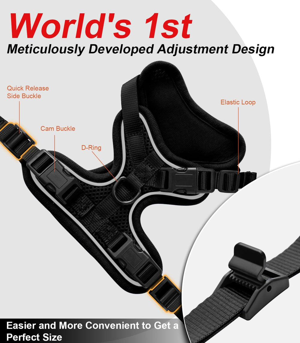 Kaazylab cat harness easy setup with quick-release buckles