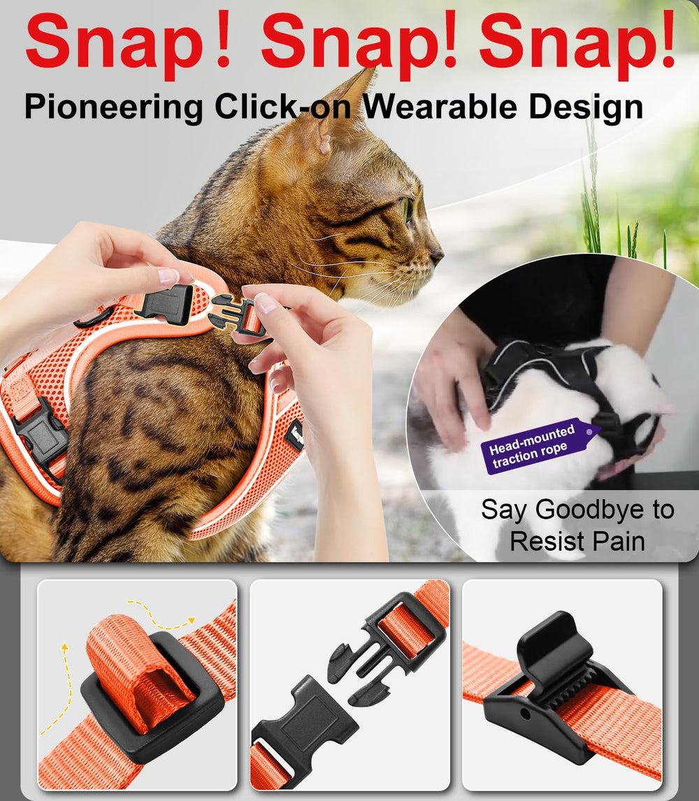 Kaazylab cat harness easy-setup enables quick on-and-off during outings.