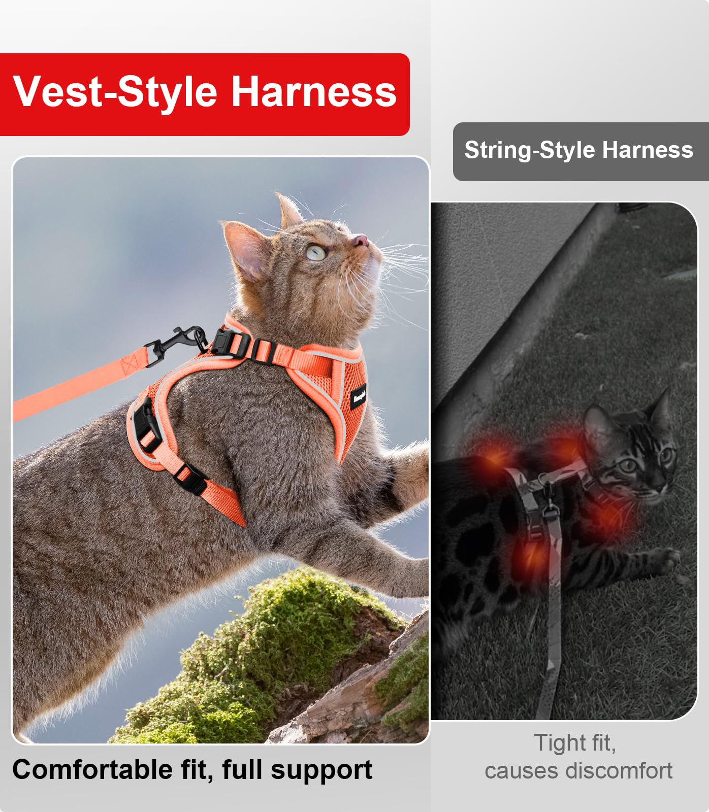 Kaazylab cat harness easy setup for wriggly felines during first walks.