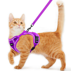 Kaazylab cat harness escape-proof strap in action for safe outdoor adventures.