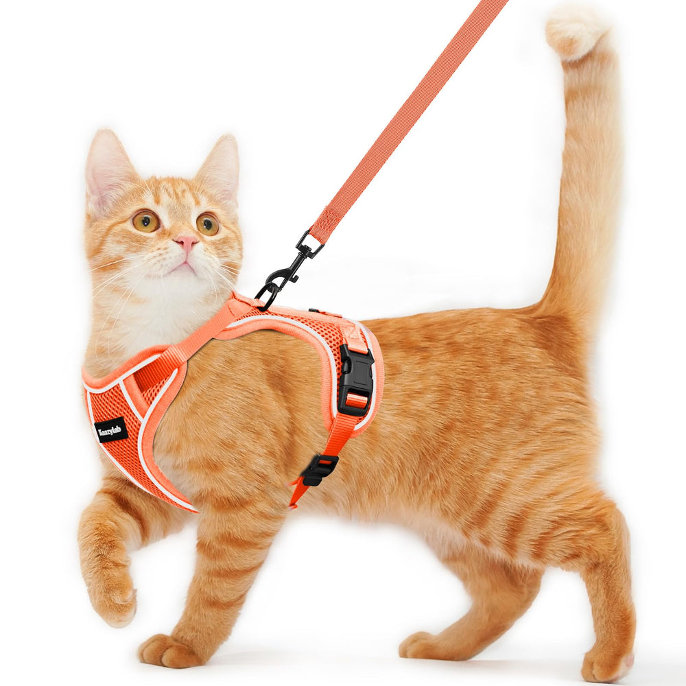 Kaazylab escape-proof harness system keeps adventurous cats secure outside.