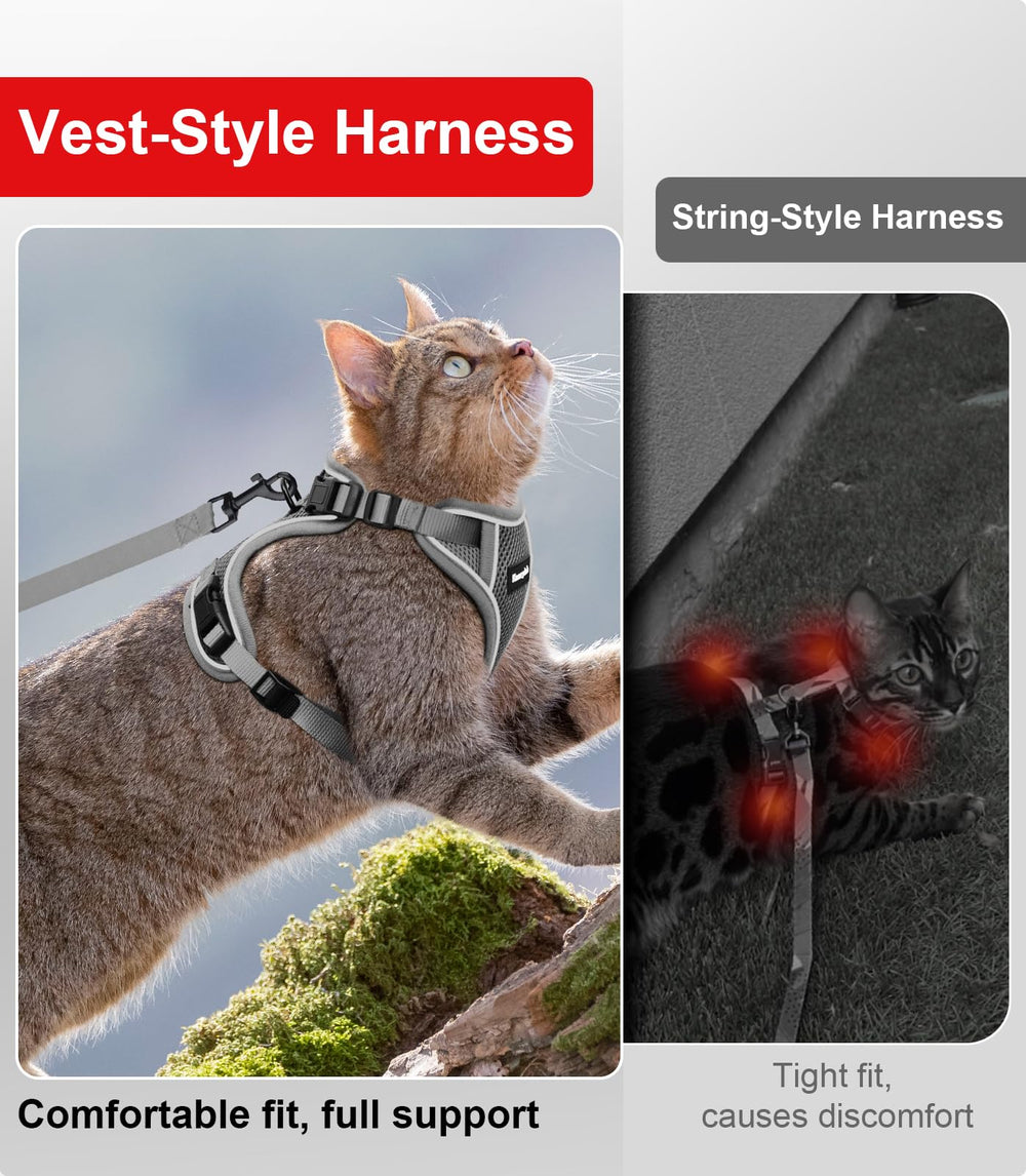 Kaazylab harness on a cat during outdoor walk demonstrates secure fit.
