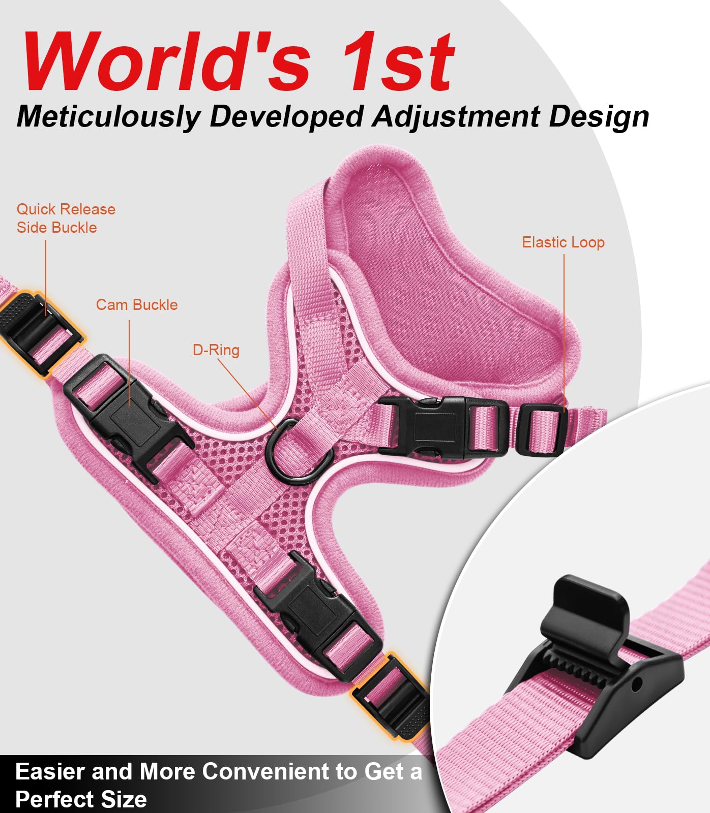 Kaazylab cat harness quick-release buckles enable fast on/off during outings.