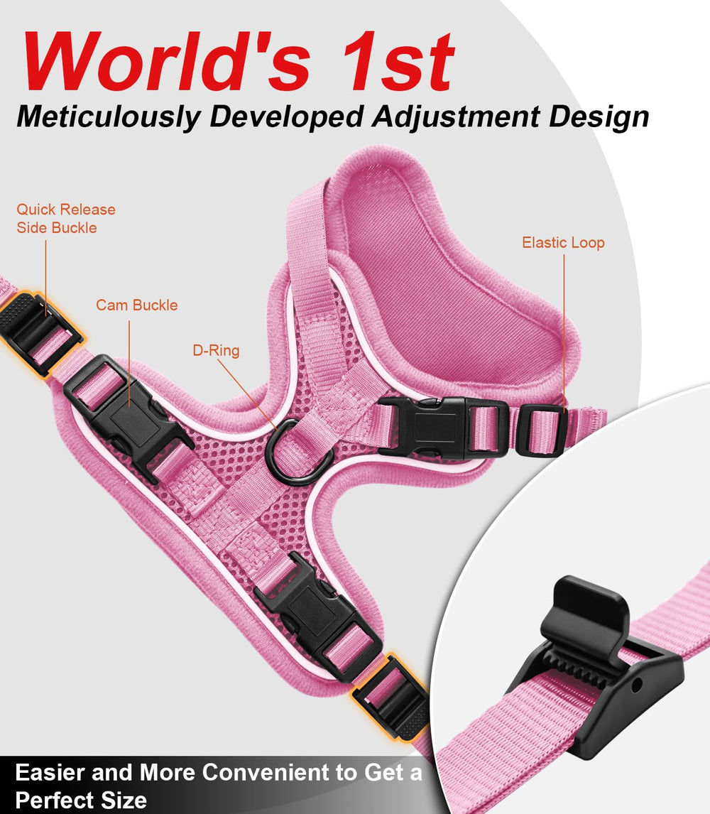 Kaazylab cat harness quick-release buckles enable fast on/off during outings.