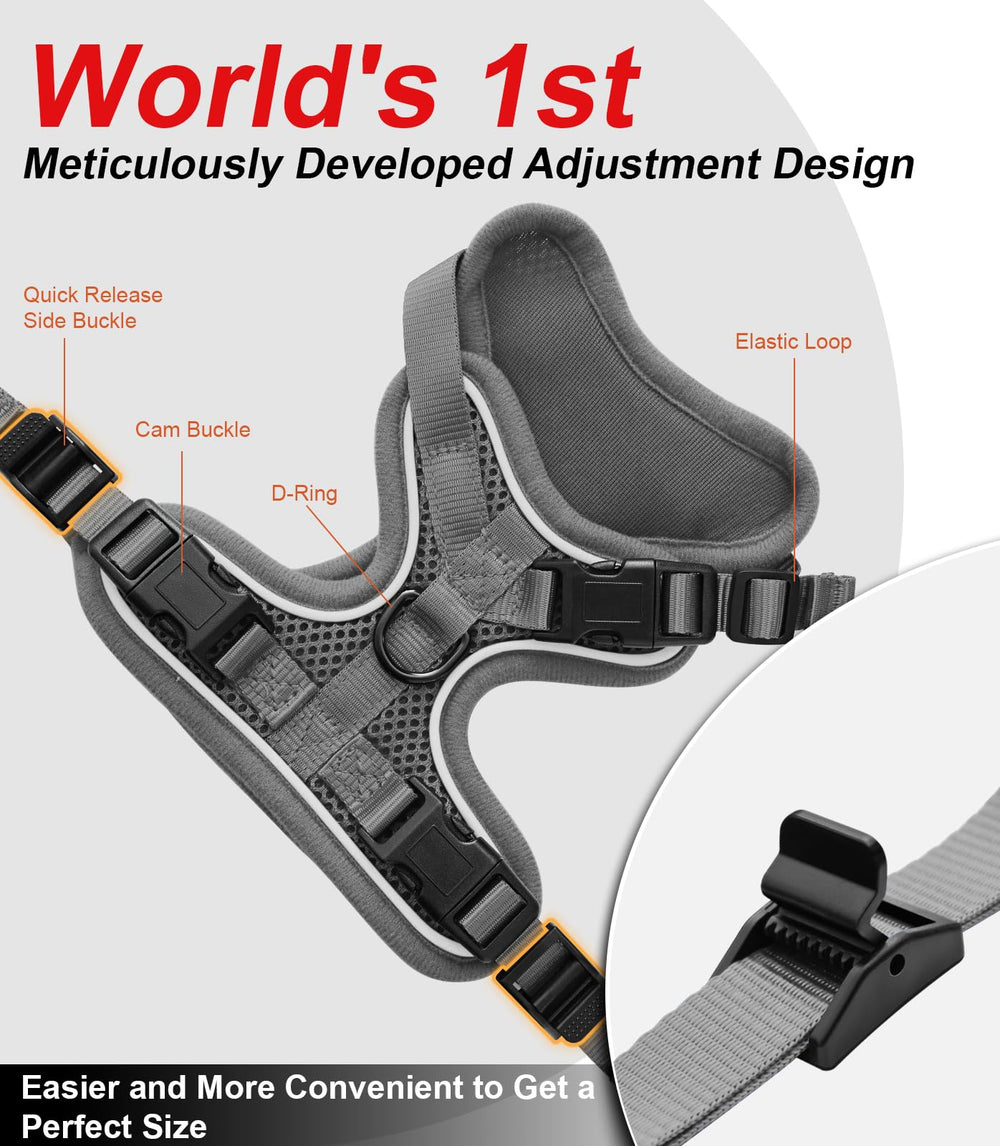 Kaazylab cat harness quick-release buckles for hassle-free setup