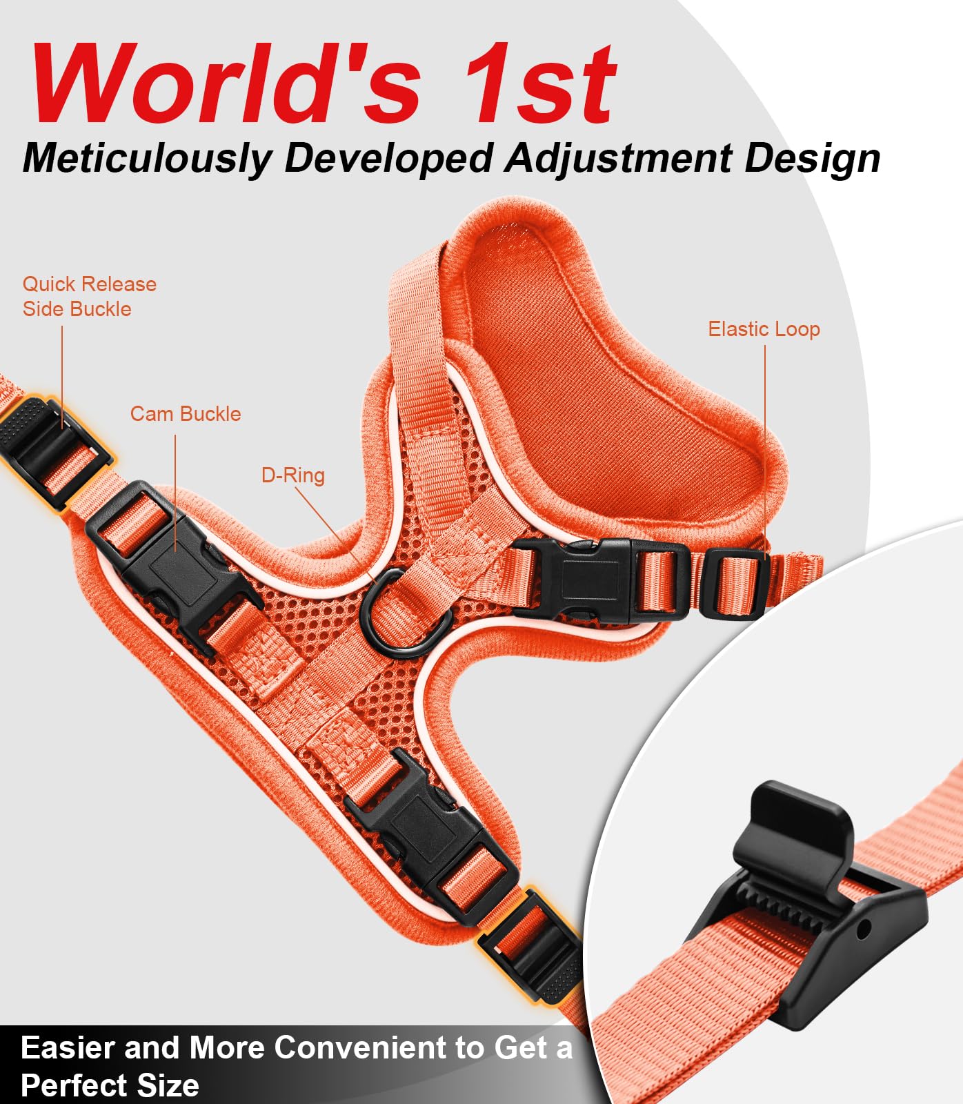 Kaazylab cat harness reflective strips boost visibility in low light.