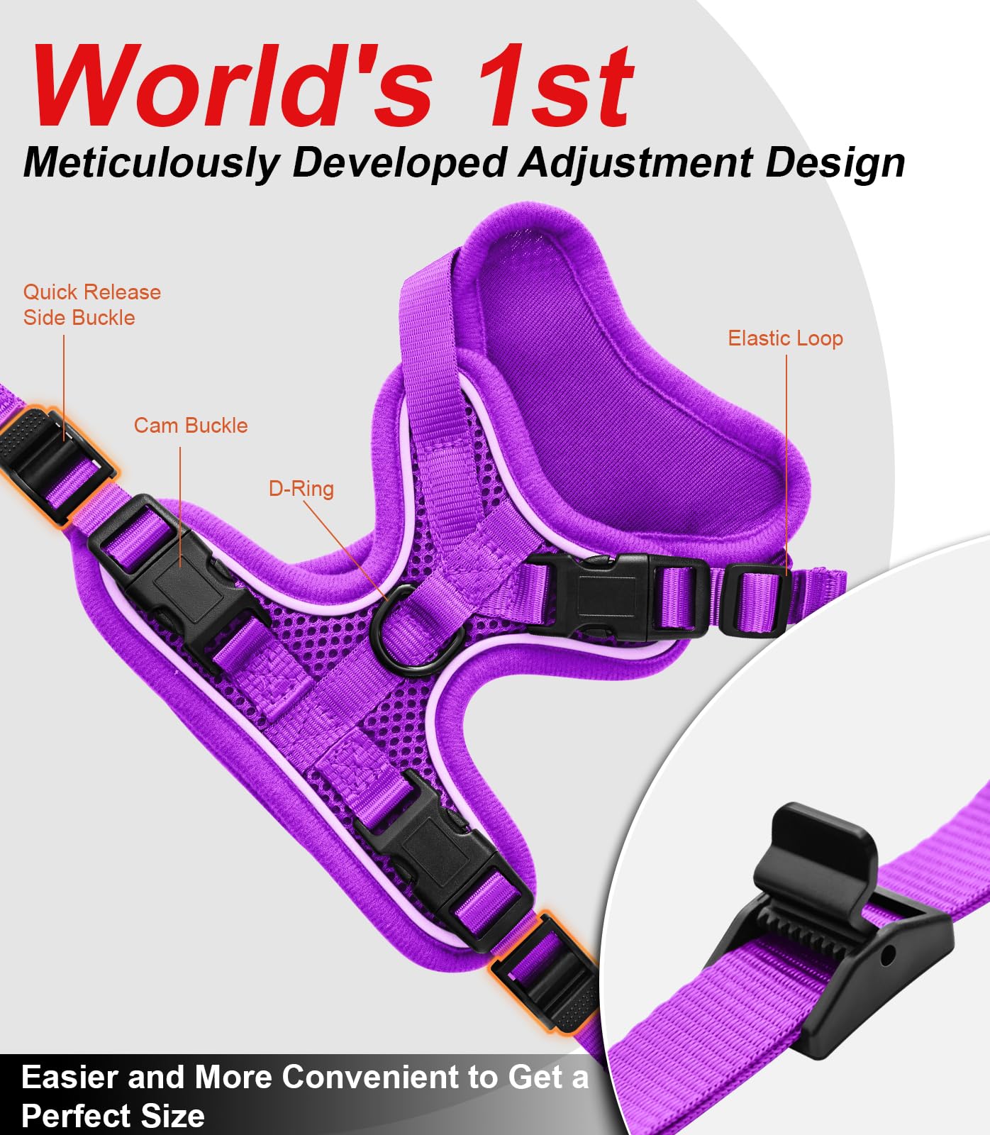 Kaazylab cat harness with reinforced buckles for durable daily use.