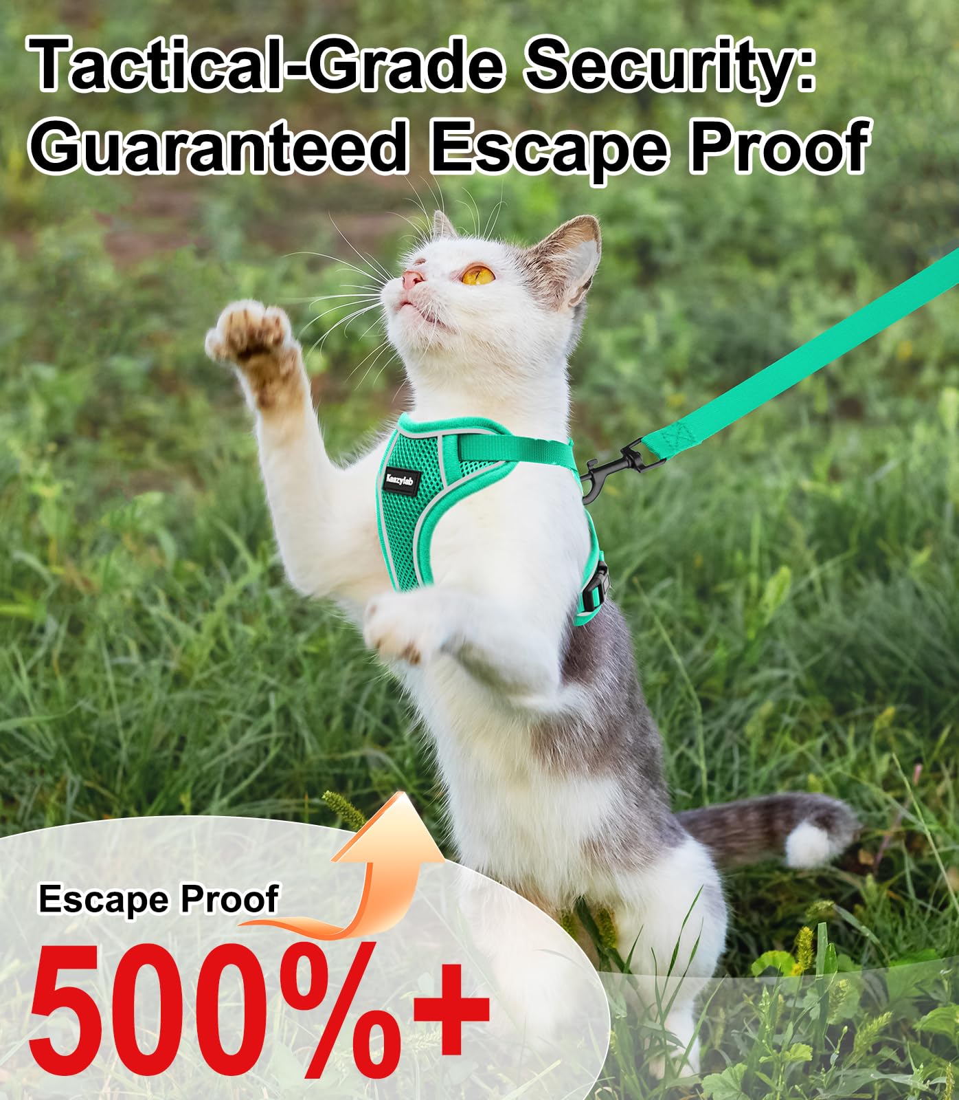 Kaazylab cat harness soft padding for comfortable wear.