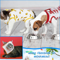 Kacctyen cat recovery suit delicate workmanship supports gentle recovery and long-lasting use.