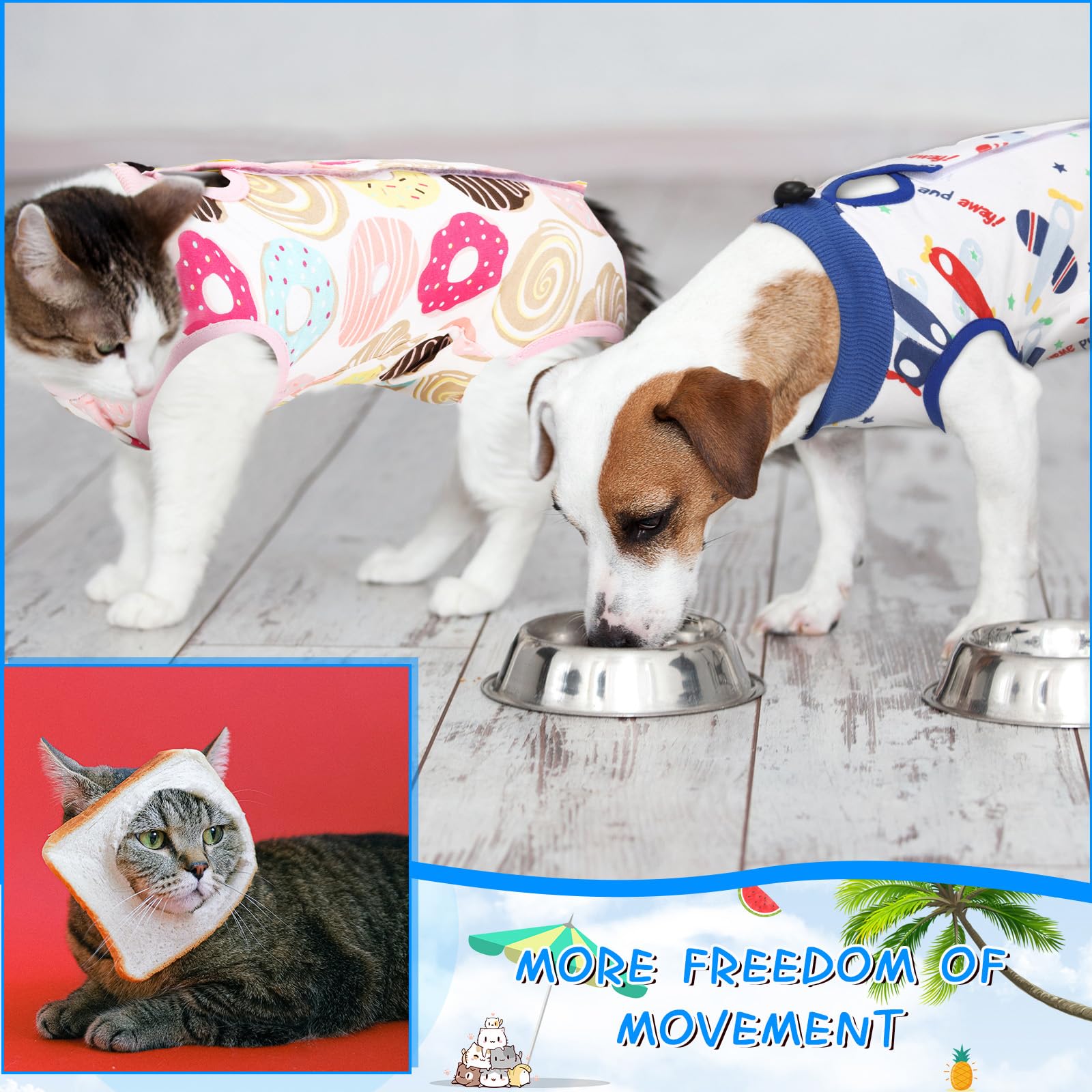 Kacctyen cat wearing recovery suit illustrates calm post-surgery rest