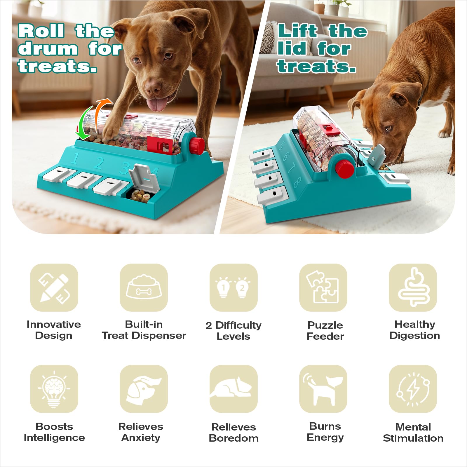 KADTC central food-dispensing system keeps dogs focused during meals.