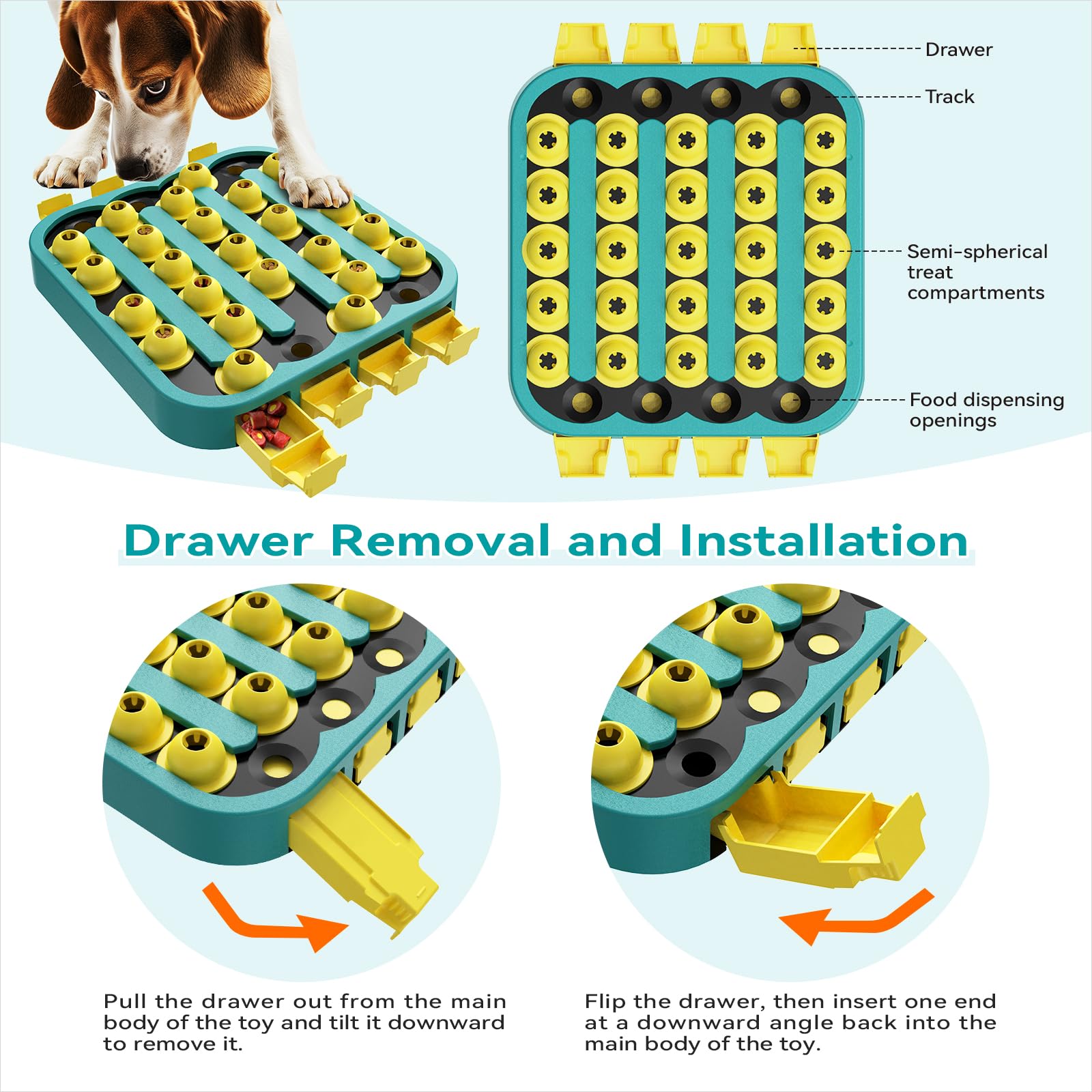 KADTC durable chew-resistant design supports prolonged play.