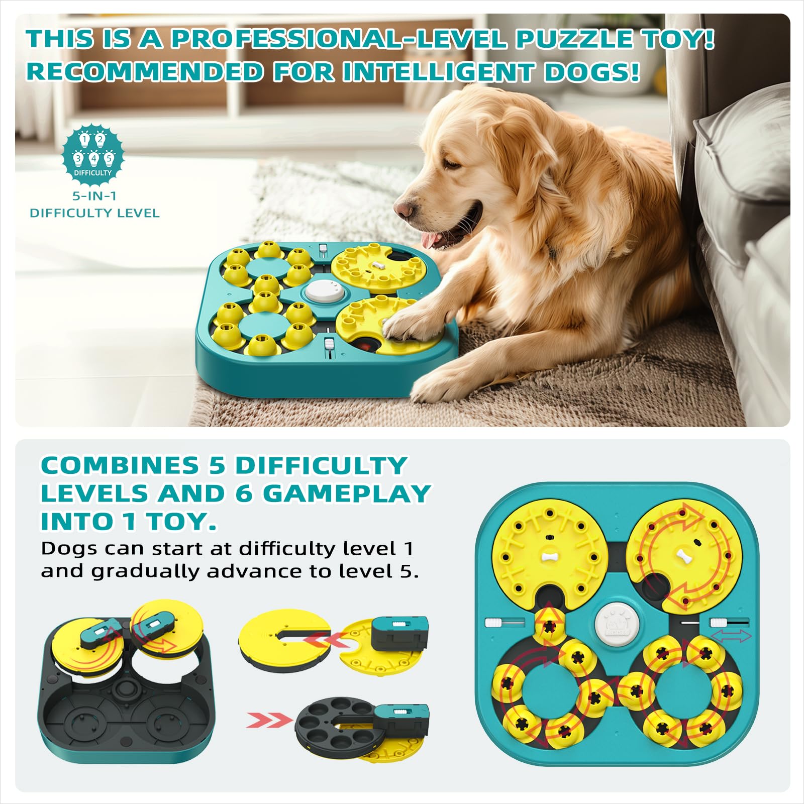 KADTC five difficulty levels scale with your dog's progress for continued learning.
