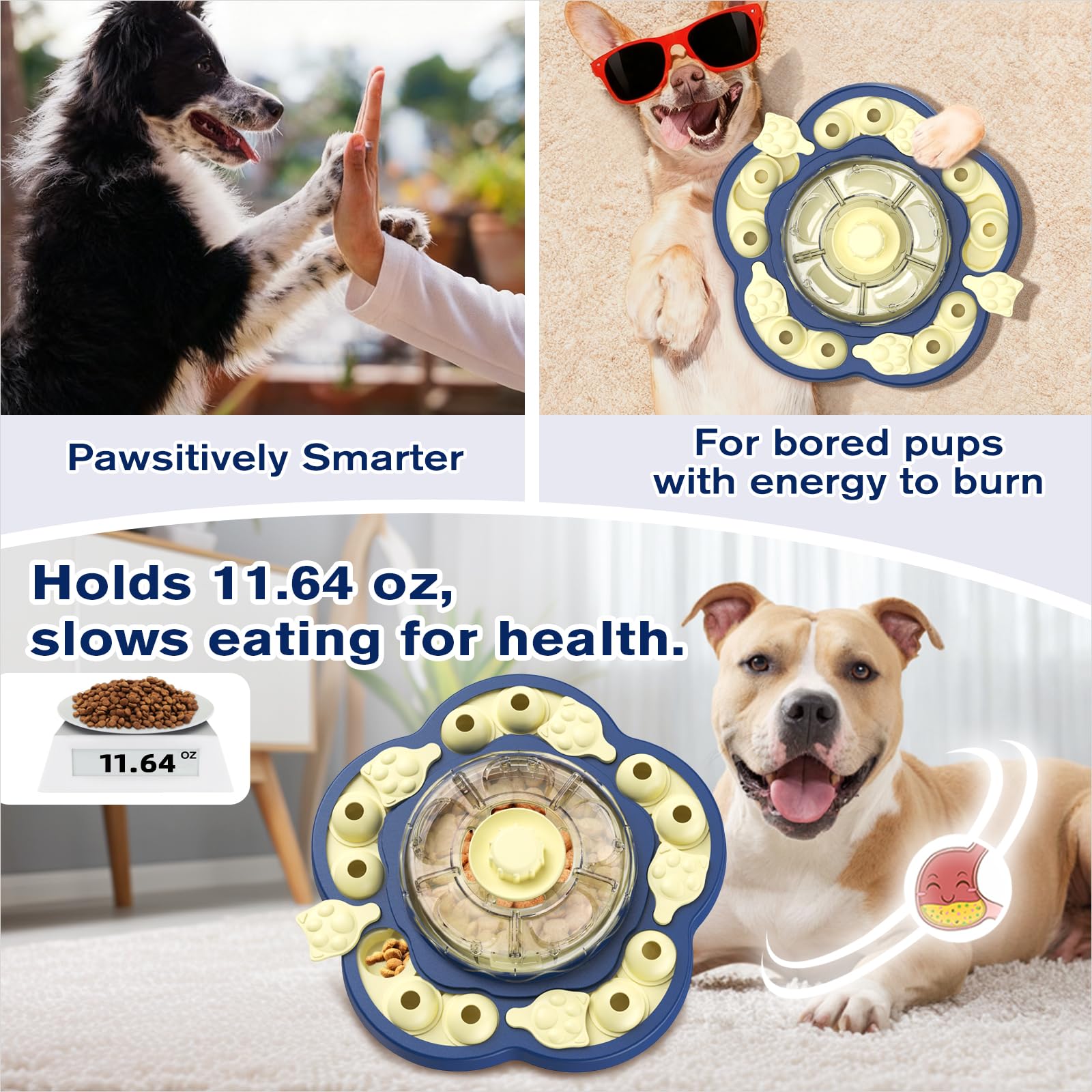 KADTC slow-feeder design promotes healthier eating pace and digestion